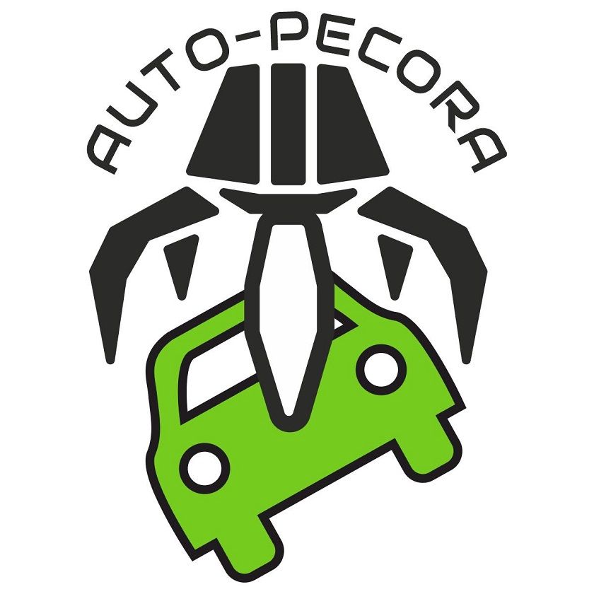 AUTO-PECORA top banner