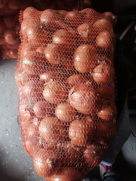 Cebula worek 10 kilo wysyłka inpost prosto od rolnika wysyłka inpost