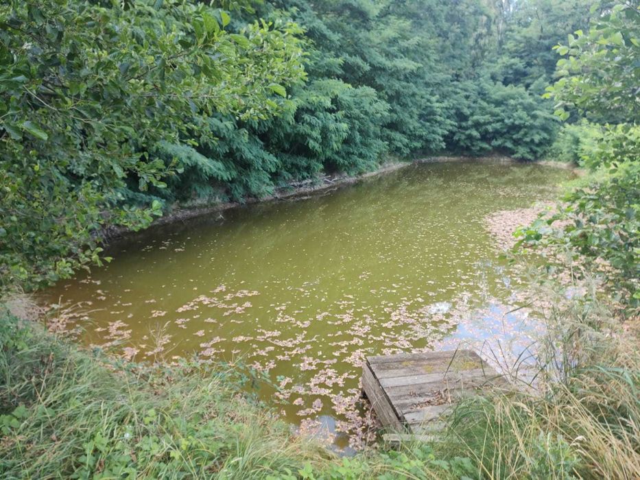 Dom wolnostojący