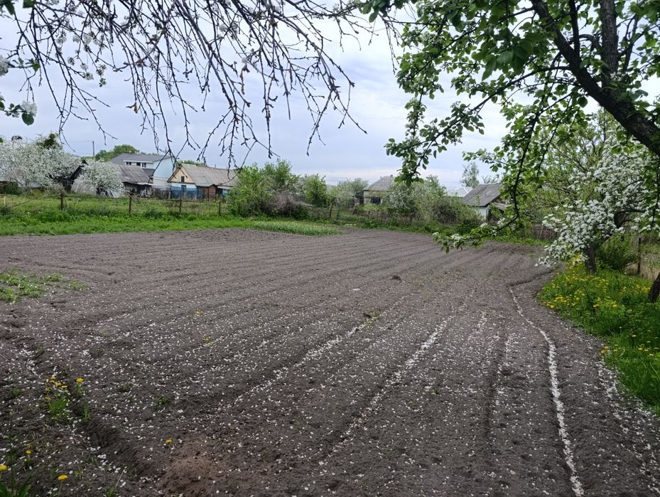 Подається будинок