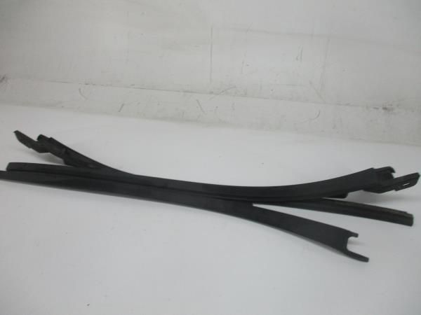 Friso / Frisos RENAULT Clio III (BR0/1, CR0/1)
