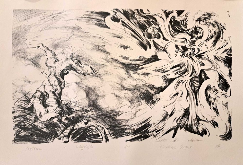 litografia grafika abstrakcja od artysty