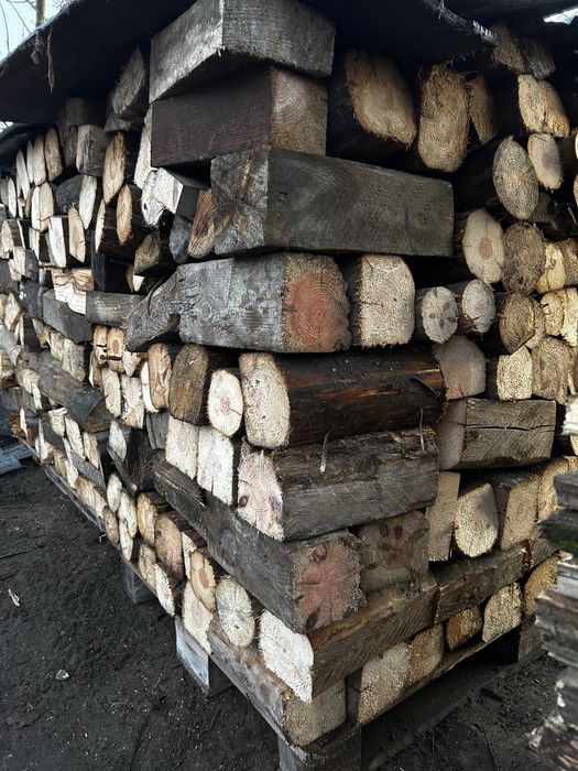 Suche drzewo opalowe