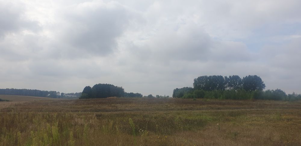 Ujazd k. Kiszkowa – działka rolna 3239 m²