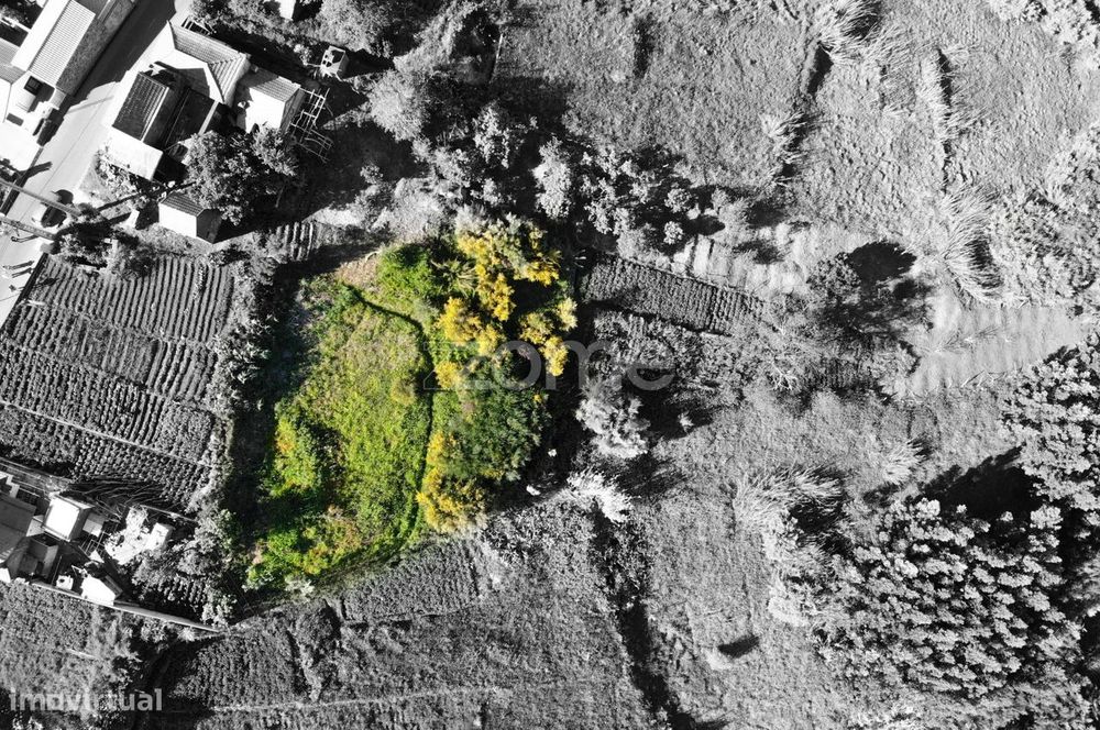 Terreno Plano