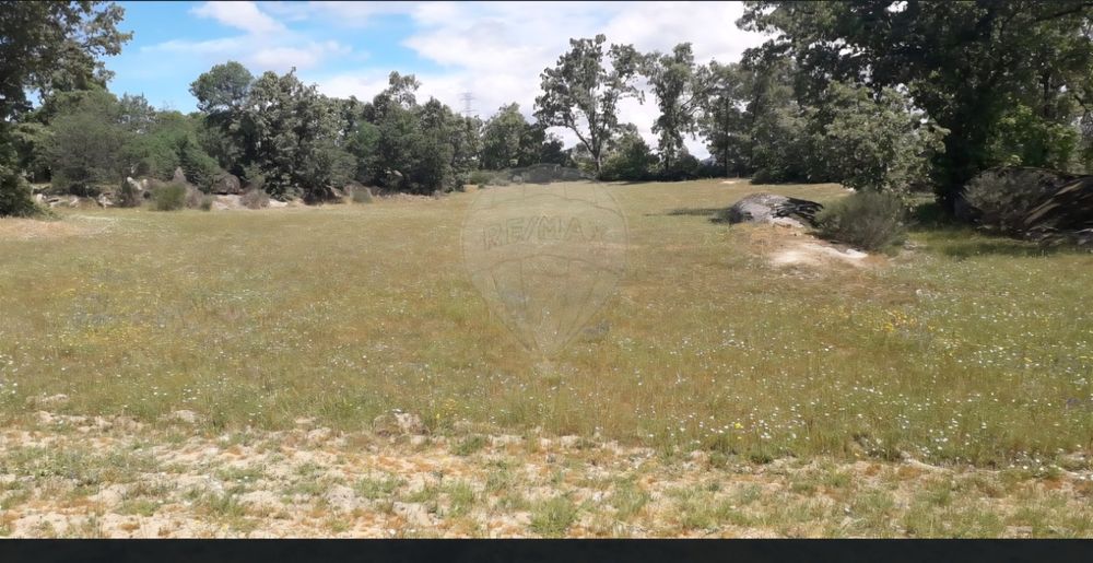 Oportunidade Única Quinta de Sonho com 14,5 Hectares na Histórica Vila