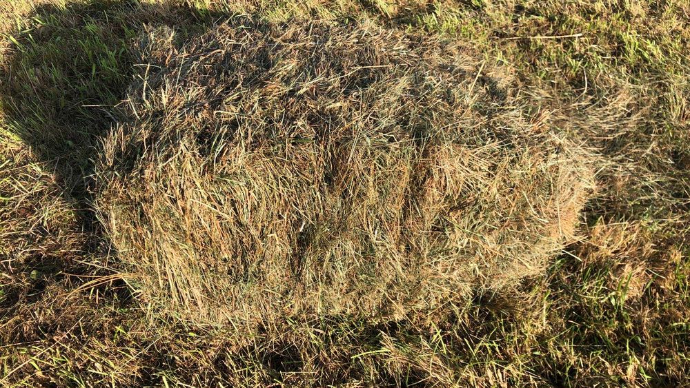 Sprzedam Siano Kostka