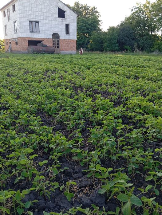 Незавершене будівництво