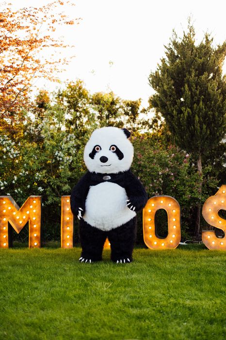 Miś tańczący na twoją imprezę ! Tańczące MISIE ! Urodziny i nie tylko!