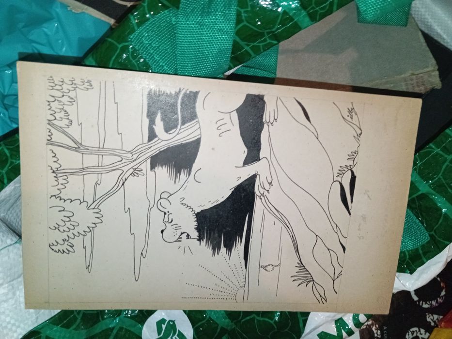 Dois desenhos em cartao