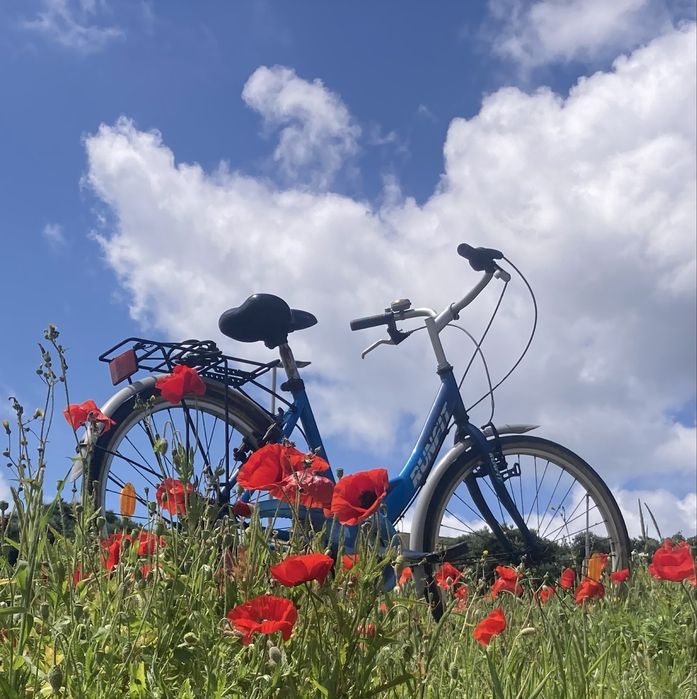 Bicicleta roda 26