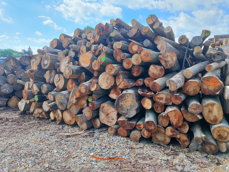 Drewno opałowe kominkowe