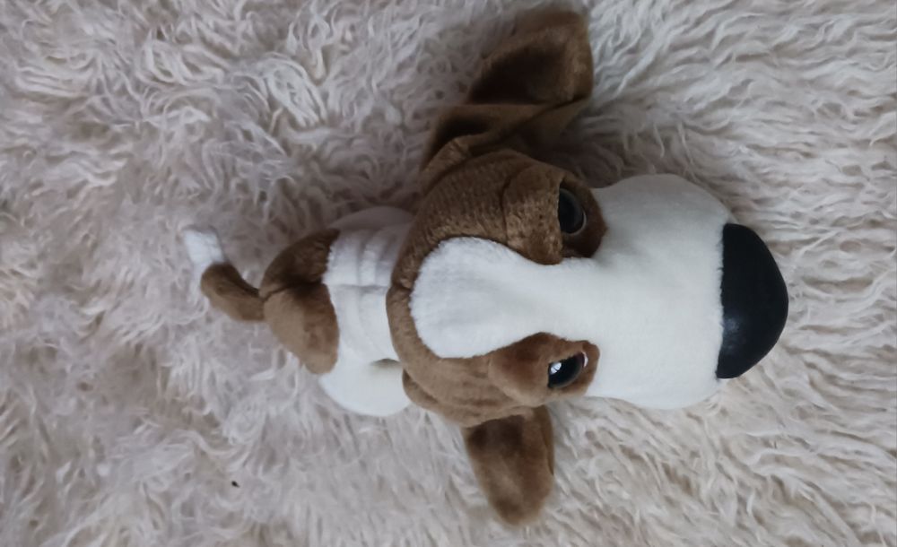 Kolekcjonerskie pluszaki, tccglobal.