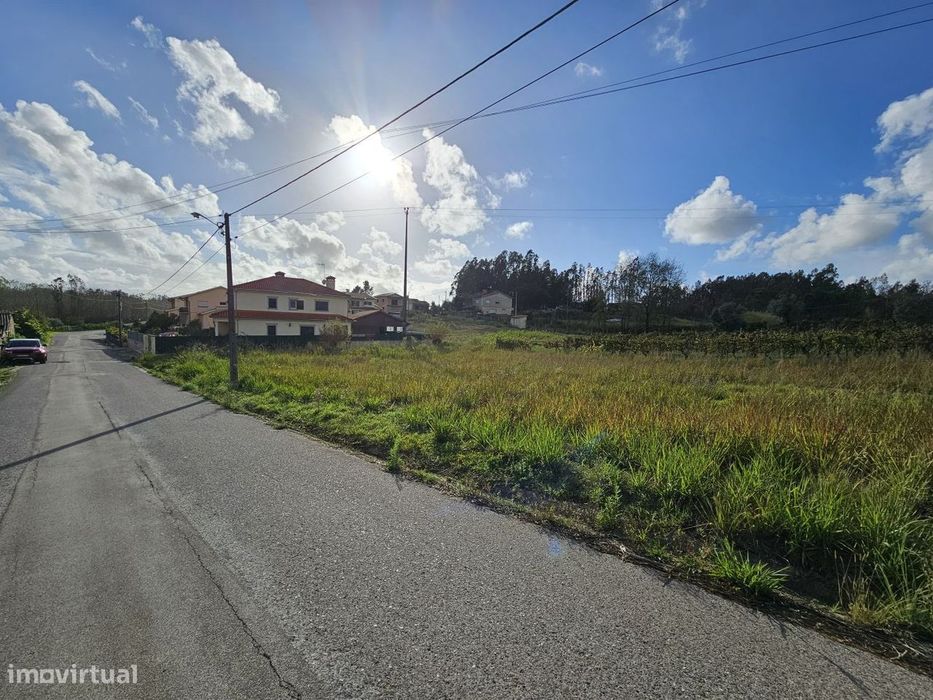 Land Plot in Valongo do Vouga with 50 m Frontage – Excellent Sun Exposure