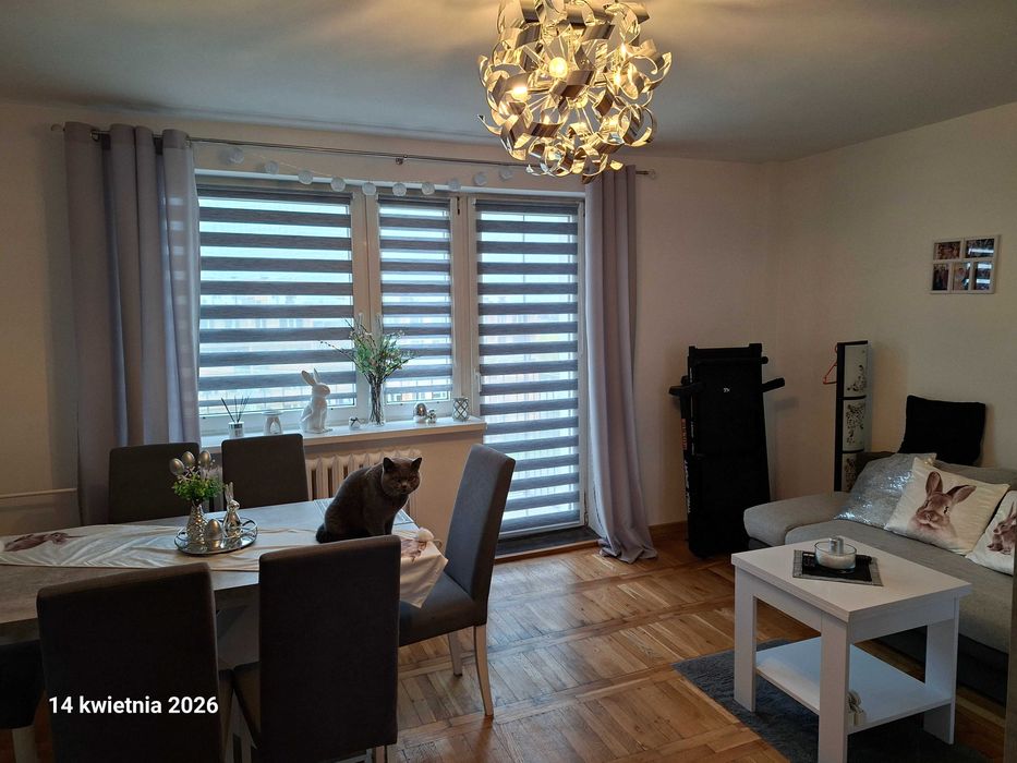 Mieszkanie w bloku w Mogilnie