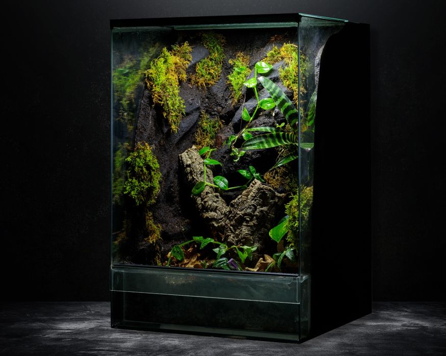 Terrarium tropikalne gekon 40x40x60