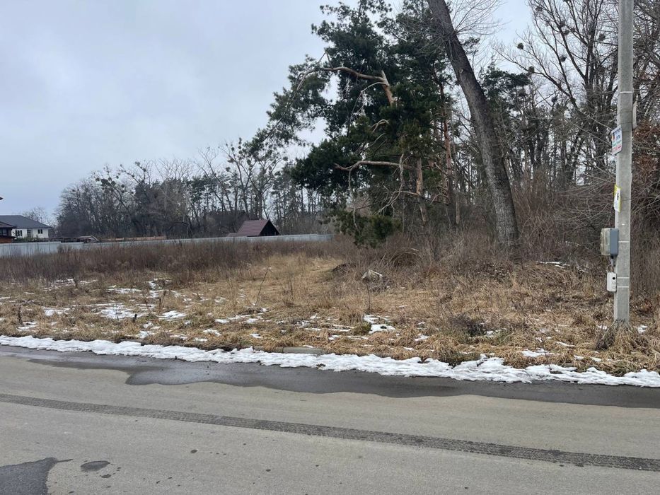 Земля . Кутова ділянка біля лісу с.Святопетрівське