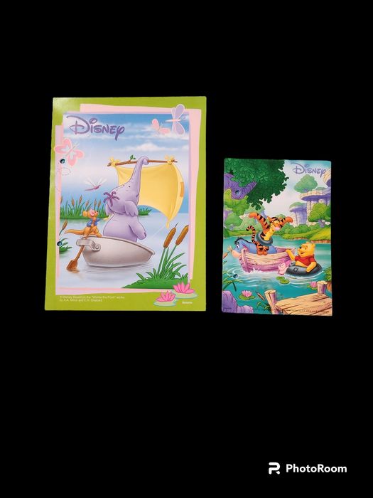 Karteczki do segregatora Disney Kubuś Puchatek śliskie