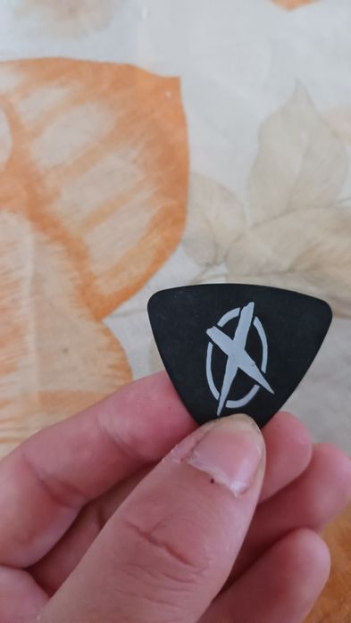 Palheta do Zé Pedro