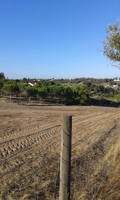 Terreno 7,800 m2  em Azambuja 60.000 €