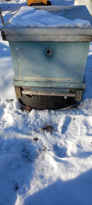 Вулики 2 х корпуси полістерол дадан 300мм