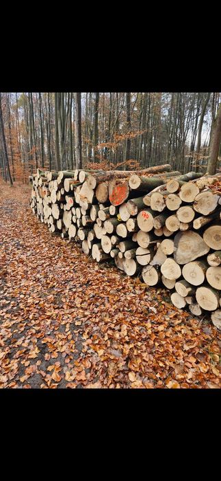 Drewno opałowe Kominkowe metry wałki do pieca