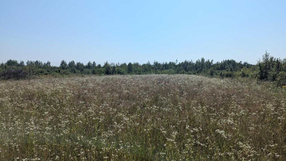 Земельна ділянка під забудову в с.Березівка(12)