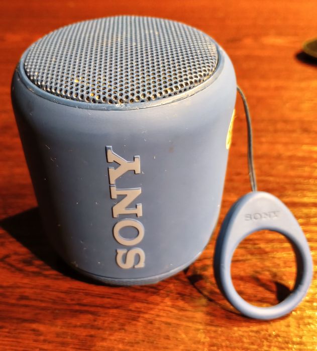 Bluetooth głośnik Sony SRS-XB100