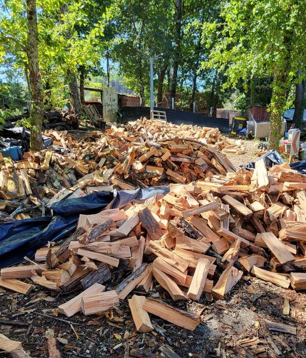 Lenha seca para recuperador 2025