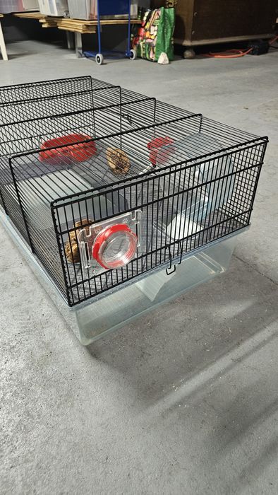 Gaiola para roedores