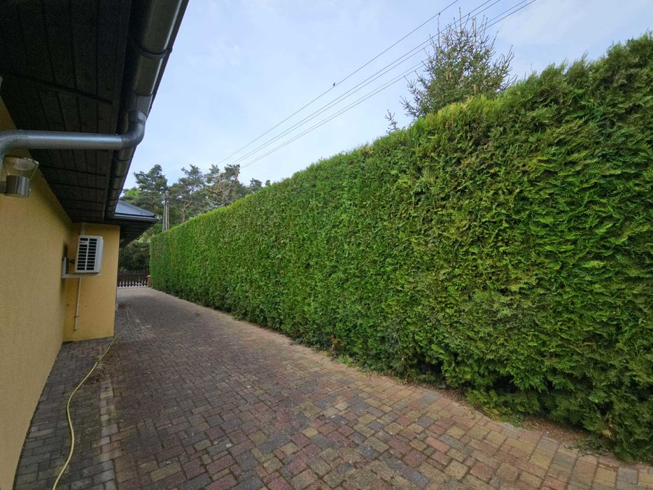 Wycinka drzew/zakładanie ogrodów/prace pielęgnacyjne