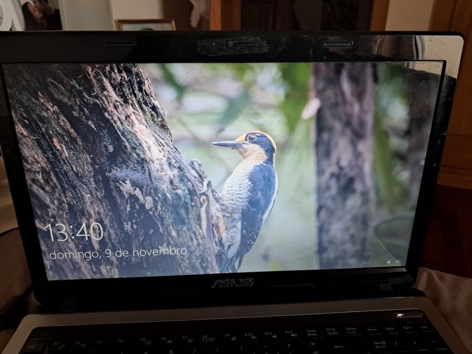 Portátil Asus 2GB Grafica 6GBRam