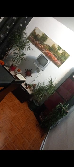 Quadro pintado à mão e tela buda