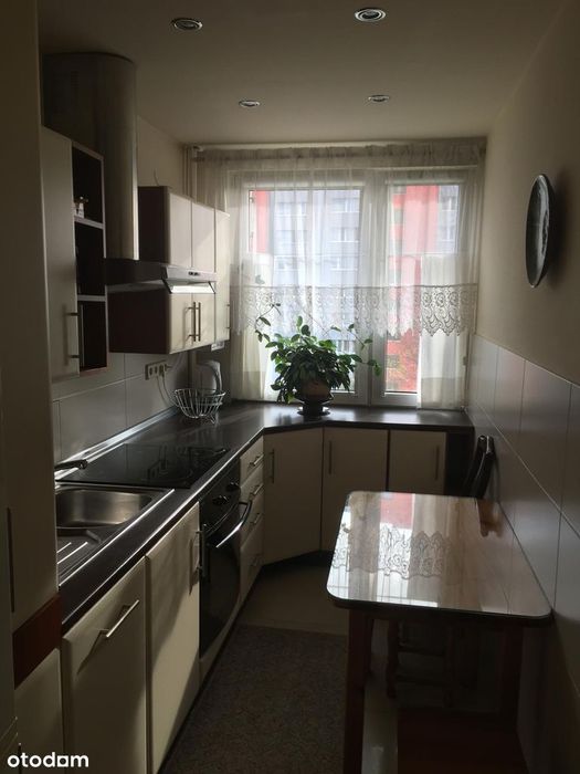 Na wynajem mieszkanie 2-pokojowe 42m Opole Zaodrze