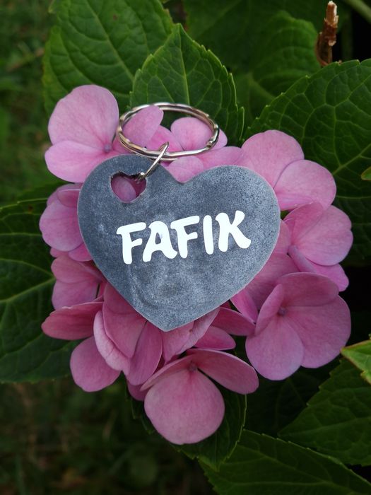 Adresówka dla psa, kota. Żywica epoksydowa