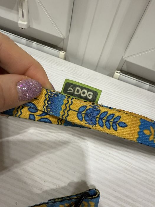 Повідець+нашийник HiDog