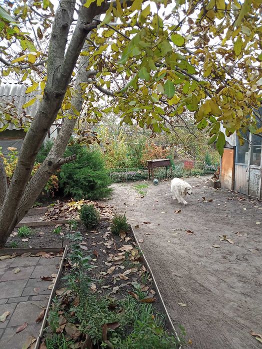Продам дом 92 м² в Жихаре