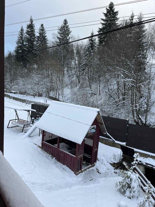 Котедж «Ведмедиця Тадея»