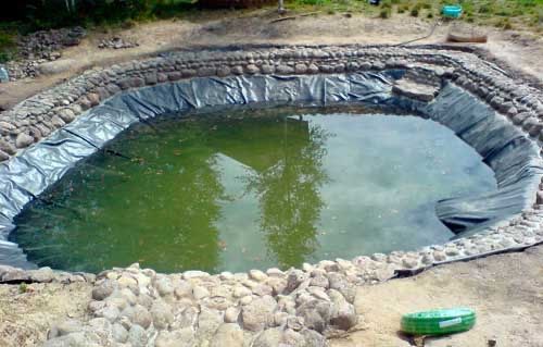 плівка для водойм, ставків