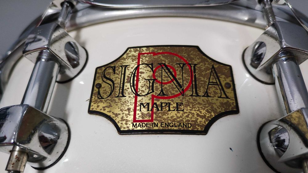Werbel Premier Signia Maple 14×5,5" – Made in England