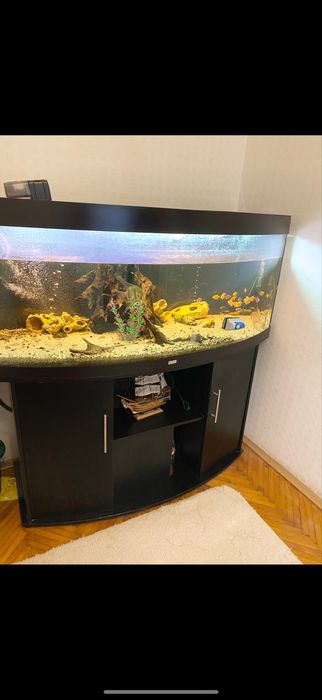 Акваріум Ювель Juwel 450 л