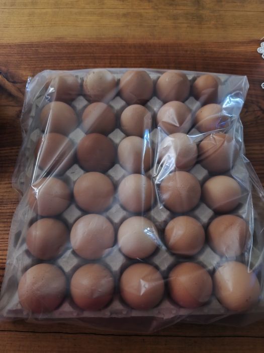 Vendo ovos caseiros