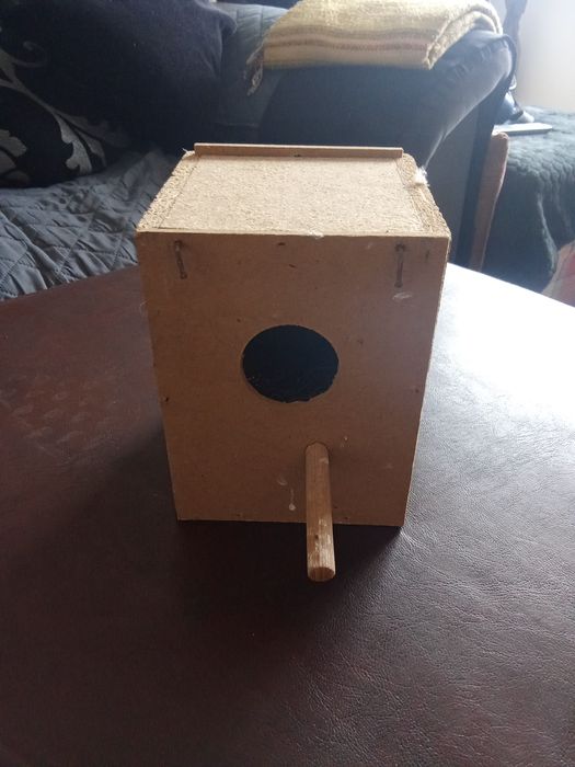 Ninhos para pássaros exóticos