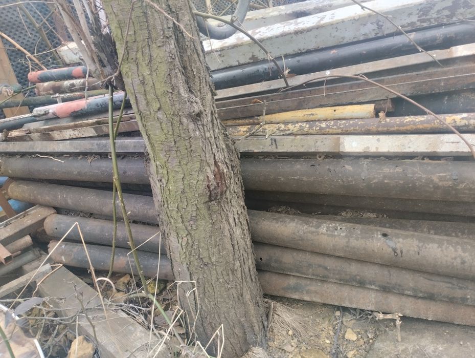 Słupki ogrodzeniowe