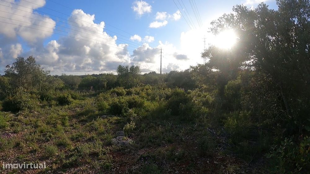 Terreno Rústico  Venda em Conceição e Estoi,Faro