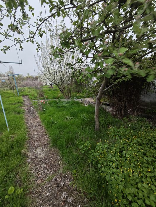 Продам дом  в Березановке