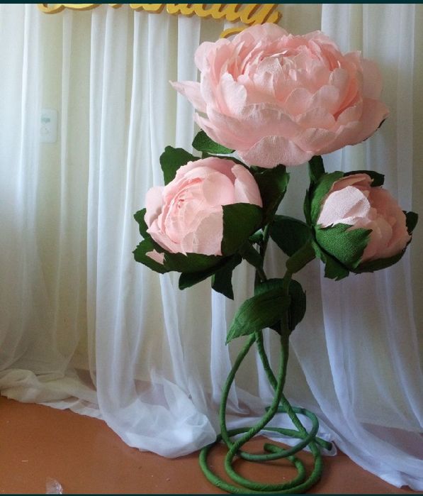 Ростові квіти для декору