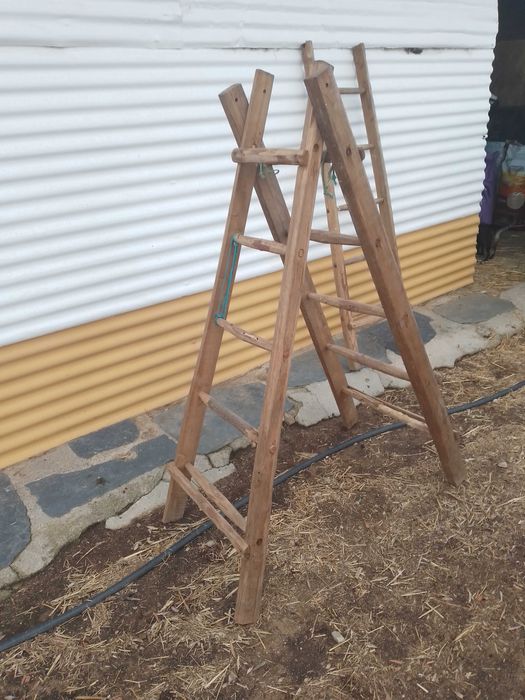 Escadas, escadotes antigos