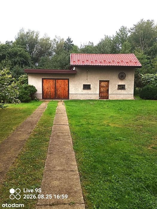 Zdjęcie 8