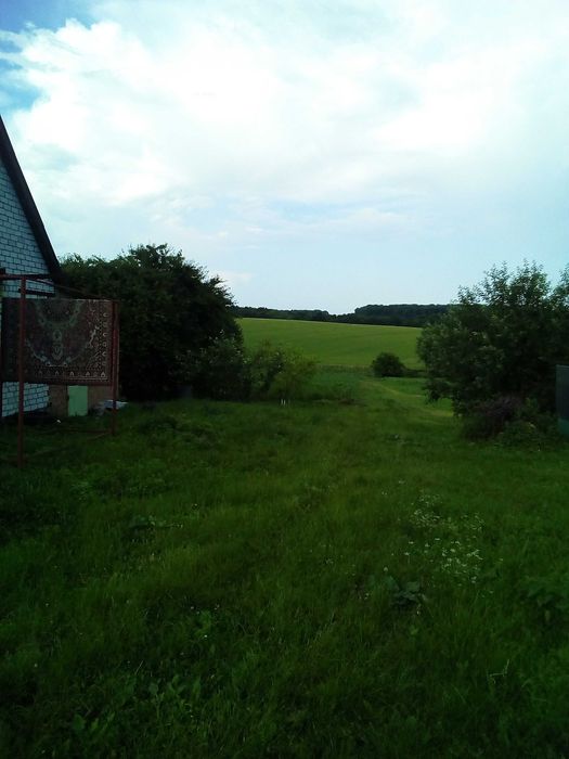 Будинок  Будинок